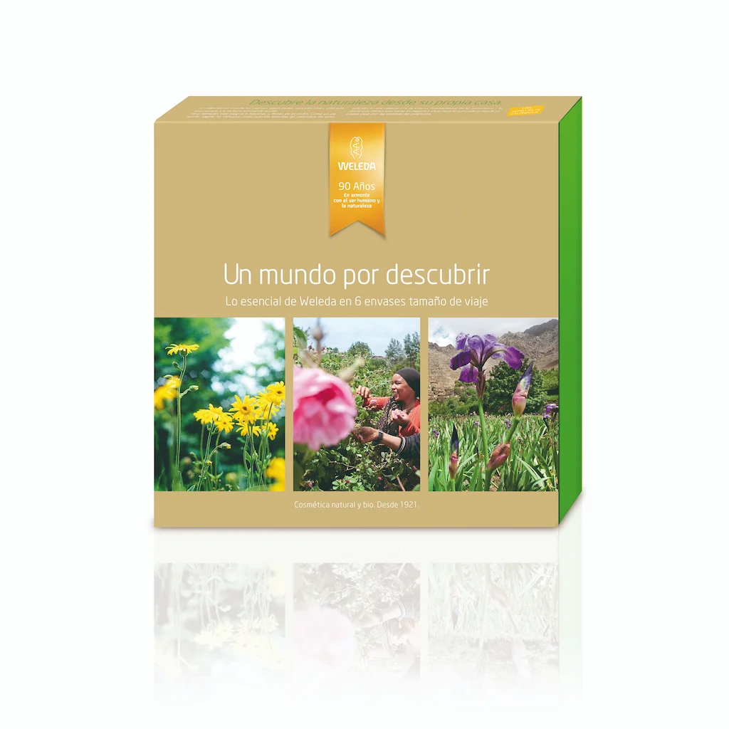 20-caja-discovery